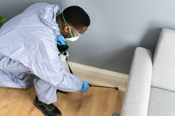 Best Residential Pest Control  in Bright, IN